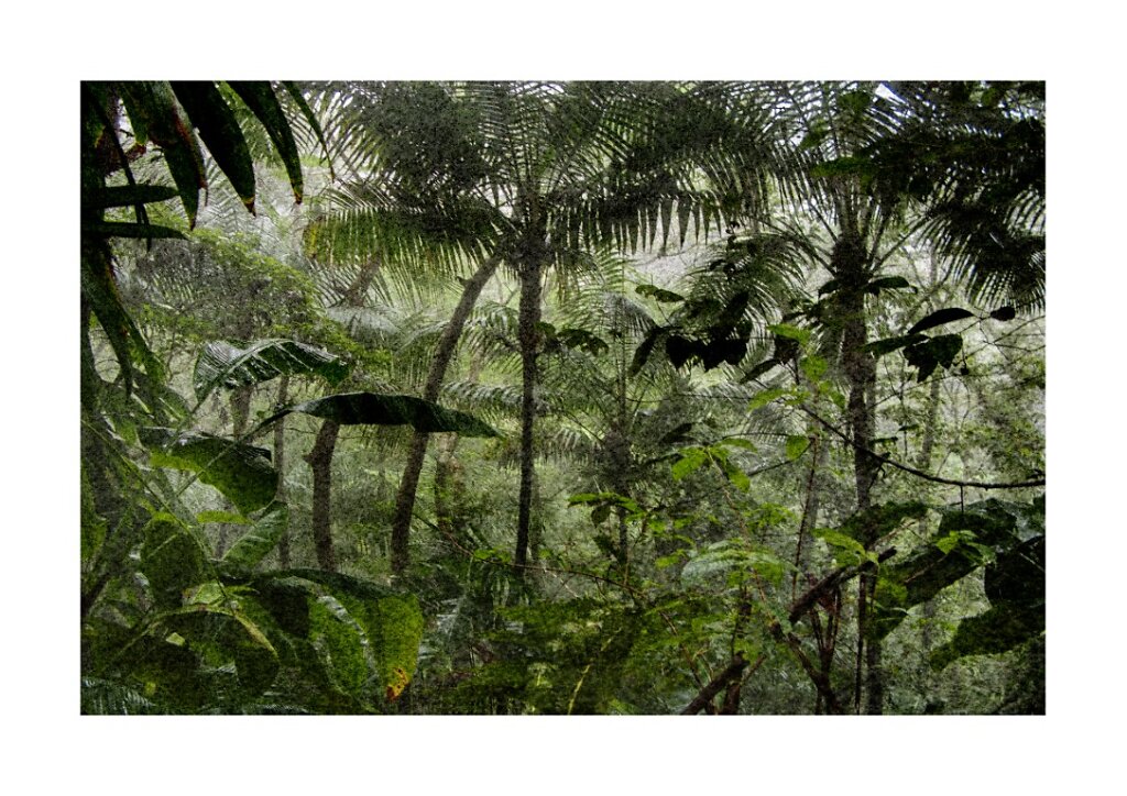 OASIS